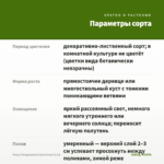 Фикус Бенджамина Анастасия (0,1л) — параметры сорта