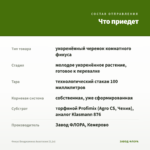 Фикус Бенджамина Анастасия (0,1л) — что приедет