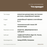 Фикус Бенджамина Барок (0,1л) — что приедет