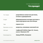 Фикус Бенджамина Барок (0,8л) — что приедет