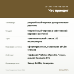 Фикус Бенджамина Кинки (0,1л) — что приедет