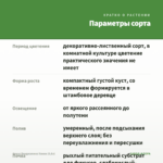 Фикус Бенджамина Кинки (0,8л) — параметры сорта