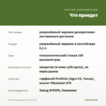 Фикус Бенджамина Наташа (0,1л) — что приедет