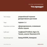 Фикус Робуста (1л) — что приедет