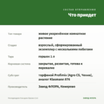 Филодендрон Сканденс Бразил (1л) — что приедет