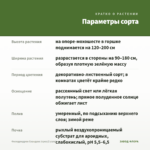 Филодендрон Сканденс (срез/2 узла) — параметры сорта