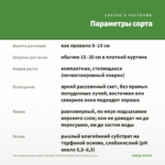 Фиттония Белая Форест Флейм (Fittonia White Forest Flame) 0,1л — параметры сорта