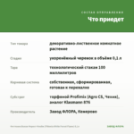 Фиттония Белая Форест Флейм (Fittonia White Forest Flame) 0,1л — что приедет