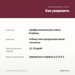 Фиттония Джоли Джосан (срез/1шт) — как укоренить черенок