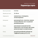 Фиттония Mosaic Pink Diamond (0,1л) — параметры сорта