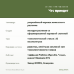Фиттония Mosaic Whisper (0,1л) — что приедет