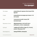 Фиттония Pink Special (0,1л) — что приедет