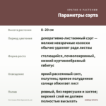 Фиттония Pink Special (0,1л) — параметры сорта