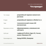 Фиттония Pink Special (0,1л) — что приедет