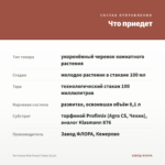 Фиттония Red Forest Flame (0,1л) — что приедет