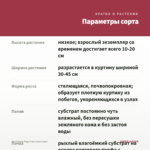 Фиттония Ред Стар (срез/1шт) — параметры сорта