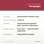 Фиттония Ред Стар (срез/1шт) — что приедет