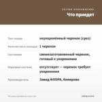 Фиттония Серебристая (срез/1 шт) — что приедет