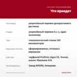 Фуксия Ампельная Alwin (0,1л) — что приедет