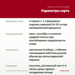 Фуксия Ампельная Alwin (срез/3шт) — параметры сорта