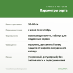 Фуксия Ампельная Alwin (срез/3шт) — параметры сорта