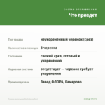 Фуксия Ампельная Alwin (срез/3шт) — что приедет