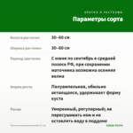 Фуксия ампельная Annabel (0,1л) — параметры сорта