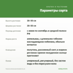 Фуксия ампельная Annabel (0,1л) — параметры сорта
