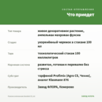 Фуксия ампельная Annabel (0,1л) — что приедет