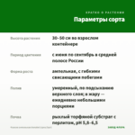 Фуксия ампельная Annabel (срез/3шт) — параметры сорта