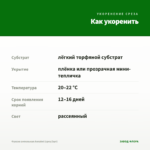 Фуксия ампельная Annabel (срез/3шт) — как укоренить черенок