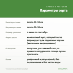 Фуксия ампельная Annabel (срез/3шт) — параметры сорта