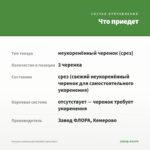 Фуксия ампельная Annabel (срез/3шт) — что приедет