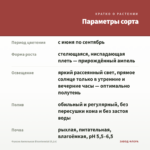 Фуксия Ампельная Bicentennial (0,1л) — параметры сорта