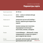 Фуксия Ампельная Bicentennial (0,1л) — параметры сорта