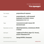 Фуксия Ампельная Bicentennial (0,1л) — что приедет