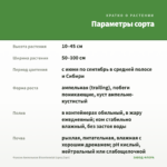 Фуксия Ампельная Bicentennial (срез/3шт) — параметры сорта
