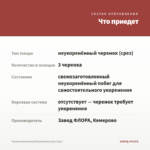 Фуксия Ампельная Bicentennial (срез/3шт) — что приедет