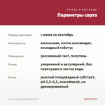 Фуксия Ампельная Blaze Away (0,1л) — параметры сорта