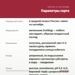 Фуксия Ампельная Blaze Away (срез/3шт) — параметры сорта
