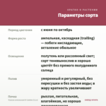 Фуксия ампельная El Camino (0,1л) — параметры сорта