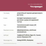 Фуксия ампельная El Camino (0,1л) — что приедет