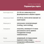 Фуксия ампельная El Camino (срез/3шт) — параметры сорта