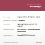 Фуксия ампельная El Camino (срез/3шт) — что приедет