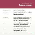 Фуксия ампельная El Camino (срез/3шт) — параметры сорта