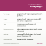 Фуксия Ампельная Flying Scotsman (0,1л) — что приедет