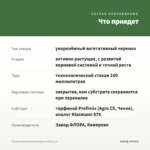 Фуксия Ампельная Godelieve Elli (0,1л) — что приедет