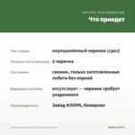 Фуксия Ампельная Godelieve Elli (срез/3шт) — что приедет