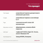 Фуксия ампельная Golden Swingtime (0,1л) — что приедет