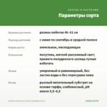 Фуксия ампельная Golden Swingtime (0,1л) — параметры сорта